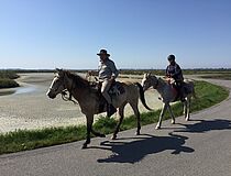 Journée douce dans les marais salants 2019 - Agrandir l'image (fenêtre modale)