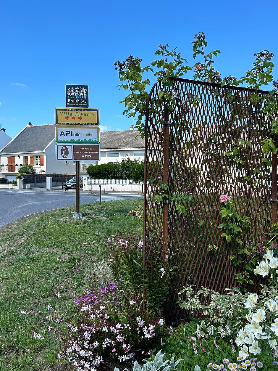 Agrandir l'image (fenêtre modale)