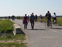 Journée douce dans les marais salants 2019 - Agrandir l'image (fenêtre modale)